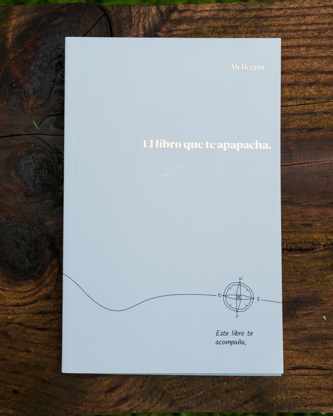 El libro que te apapacha