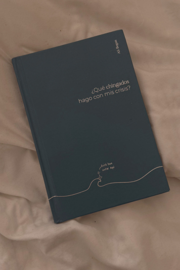 ¿Qué Chingados Hago Con Mis Crisis?